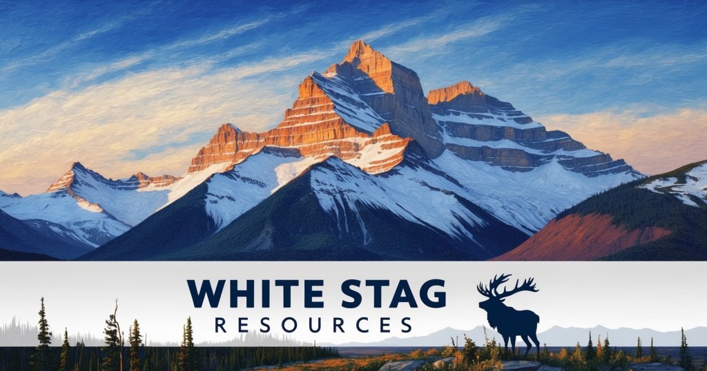 White Stag Resources Ltd cover image